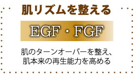 肌リズムを整える　EGF・FGF